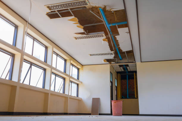Best Commercial water damage restoration  in Benwood, WV