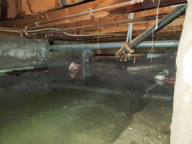 Best Commercial water damage restoration  in Benwood, WV