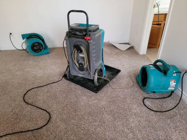 Best Basement water damage restoration  in Benwood, WV