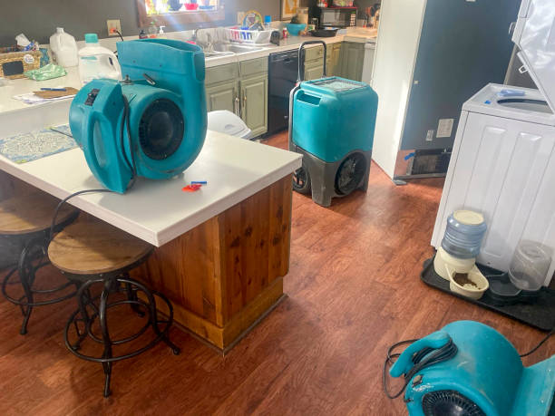 Best Ceiling water damage repair  in Benwood, WV