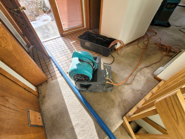 Best Water damage restoration near me  in Benwood, WV