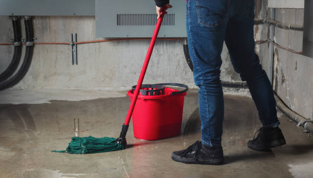 Best 24-hour water damage restoration  in Benwood, WV