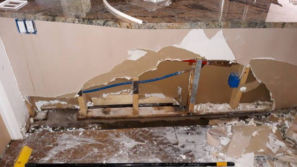 Best Water damage restoration company  in Benwood, WV