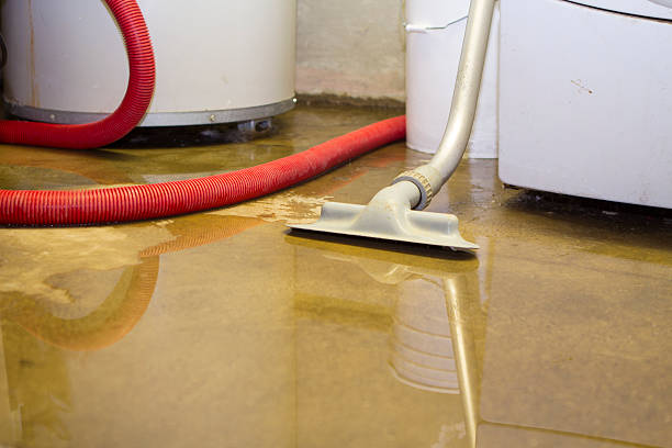  Benwood, WV Water damage restoration Pros