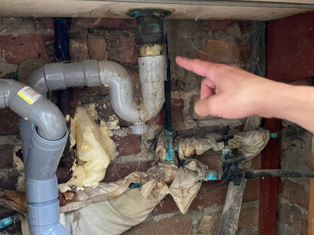 Best Water damage repair service  in Benwood, WV