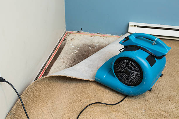 Water damage restoration mold remediation in WV