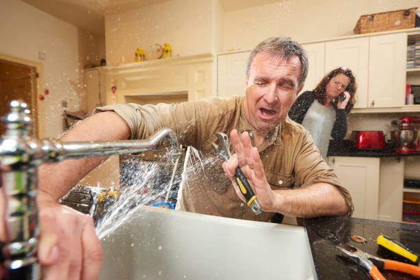 Best Flood restoration services  in Benwood, WV